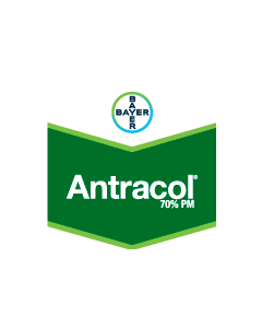ANTRACOL 700 WP